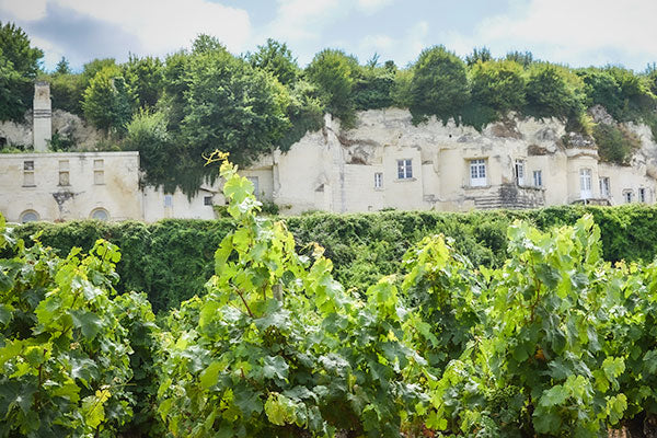 Hurrah for the Loire