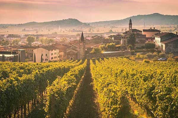 Soave To Savour