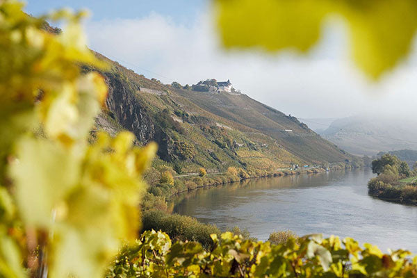 Make Some Room For Mosel