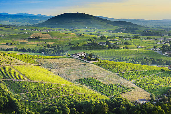 Beaujolais' Best