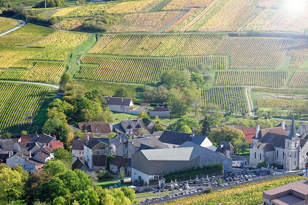 Yours Sancerrely