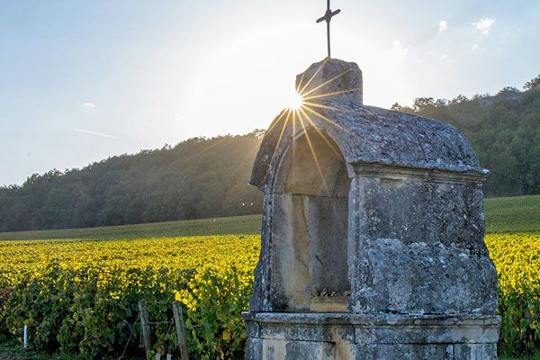 Dry as a Beaune