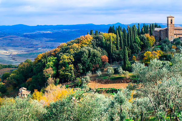Hello Brunello