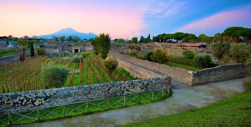 Antonio Mastroberardino worked with archaeologists to reintroduce vineyards to the site of ancient Pompeii.