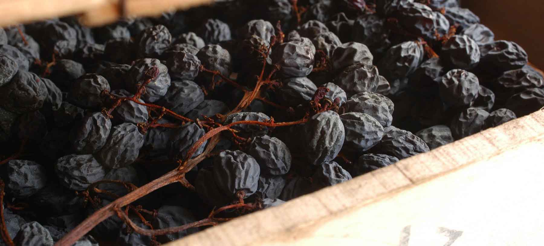Viva Valpolicella