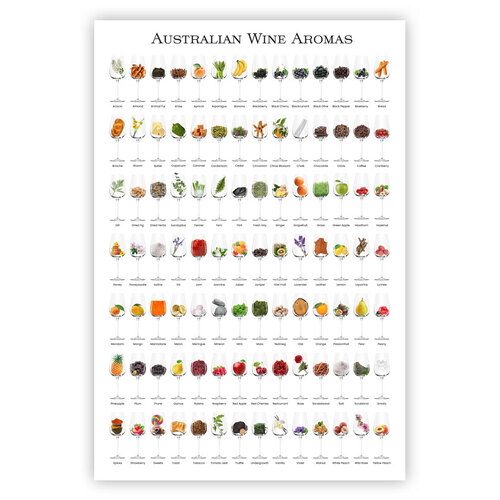 Wine Aromas Poster