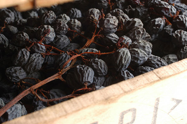 Viva Valpolicella