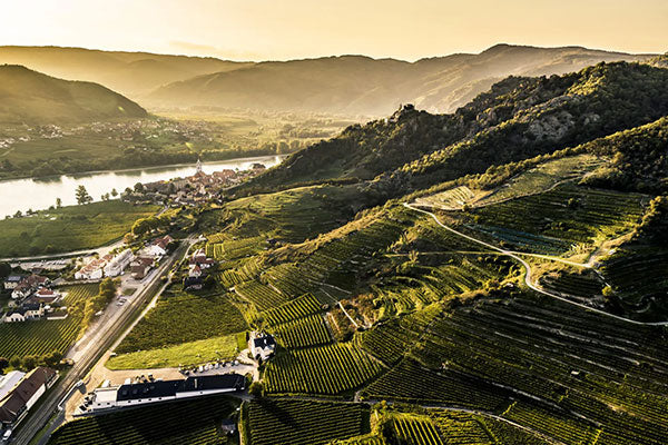 I'd Sooner Drink Grüner
