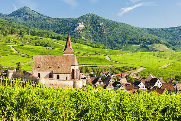 The Alchemy of Alsace