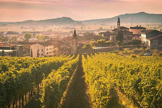 Soave To Savour