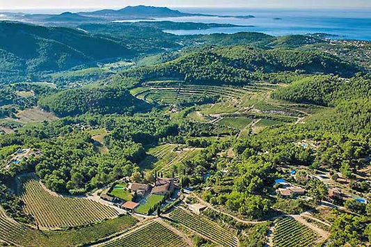 Best of Bandol