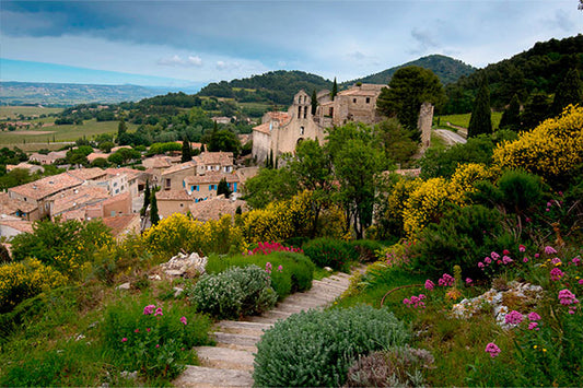 Southern Rhone's Ravishing Red