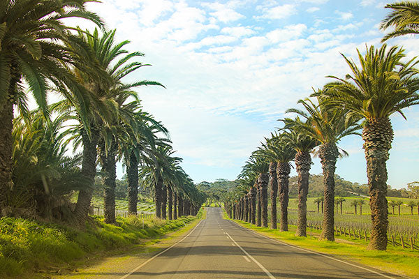 Blue Chip Barossa