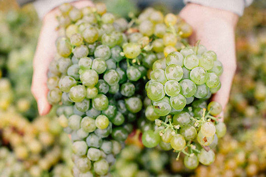Great Grüner