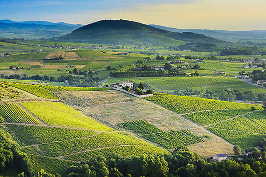 Beaujolais' Best