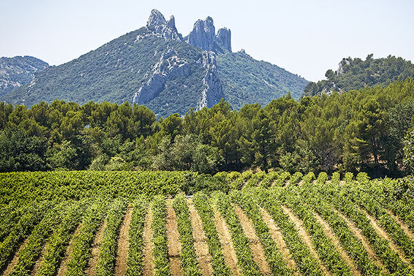 Gigondas Gems