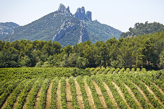 Gigondas Gems