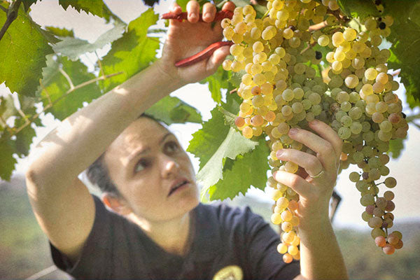 Soave Sisters