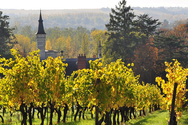 Sensational Savennières
