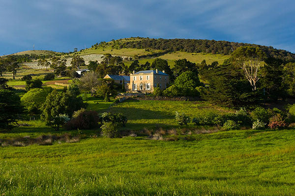 Tassie Treats
