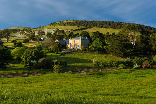 Tassie Treats