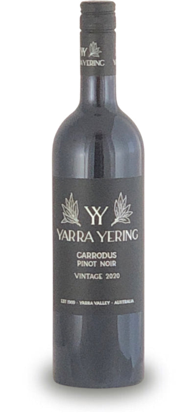 Yarra Yering Carrodus Pinot Noir 2020