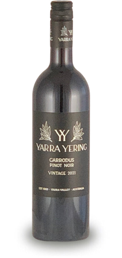 Yarra Yering Carrodus Pinot Noir 2021